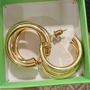 Elegant Gold Hoop Earrings